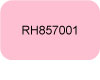 Rowenta-Air-force-Bouton-texte-RH857001.jpg